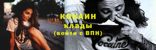 прущий лед Богданович
