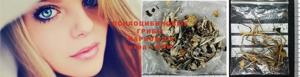 прущий лед Богданович