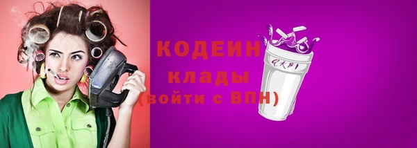 прущий лед Богданович