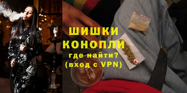 прущий лед Богданович