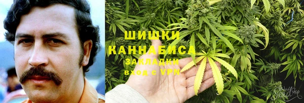 прущий лед Богданович